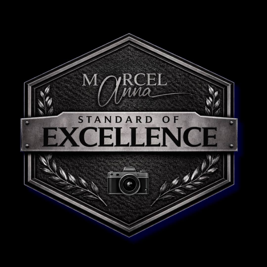 Badge Standarf of Excellence